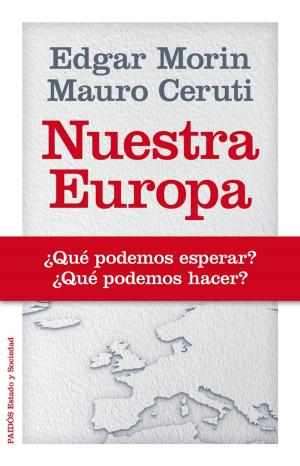 Book cover of Nuestra Europa