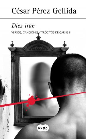 Cover of the book Dies irae (Versos, canciones y trocitos de carne 2) by Ana Punset