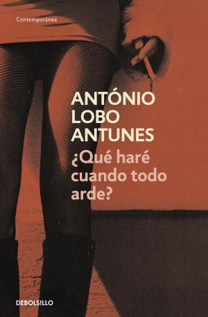 Cover of the book ¿Qué haré cuando todo arde? by Rosamunde Pilcher