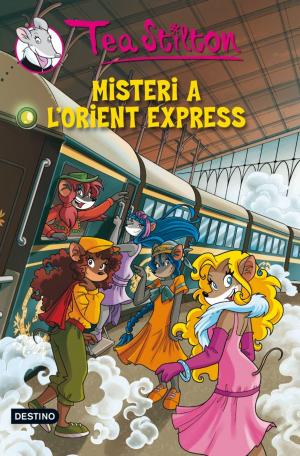 Cover of the book 13. Misteri a l'Orient Express by David Cirici