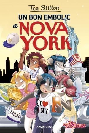 Cover of the book Un bon embolic a Nova York by Andreu Claret Serra