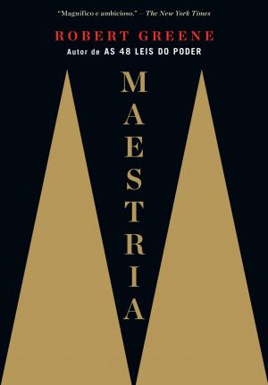 Cover of the book Maestria by Fernando Dolabela