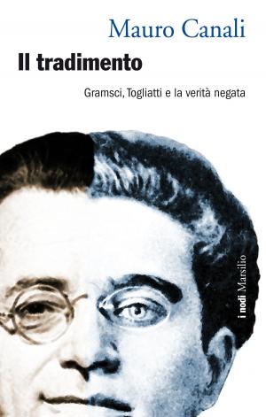 Cover of the book Il tradimento by Riccardo Iacona