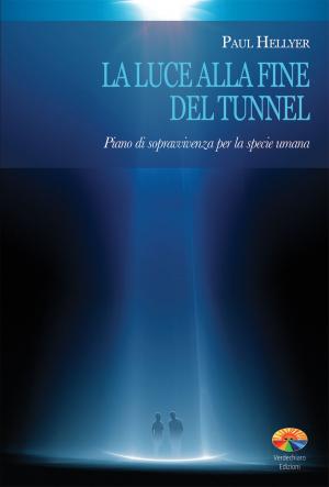 Cover of the book La luce alla fine del tunnel by Lao Tse