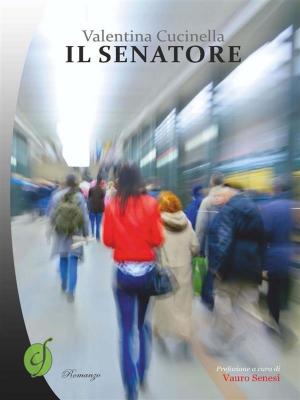 Cover of the book Il Senatore by Antonella Zucchini