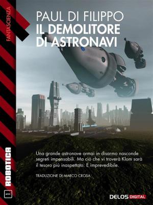 Cover of the book Il demolitore di astronavi by Irene Pistolato