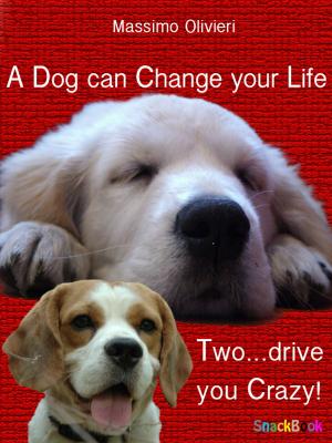 Cover of the book A Dog Can Change your Life, Two…Drive you Crazy! by Heather Brennan