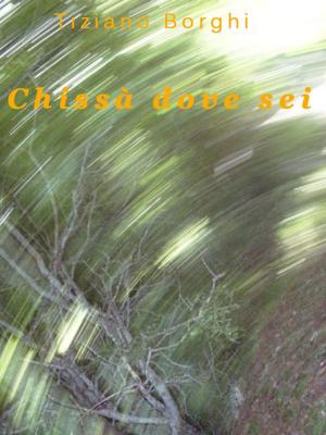 Cover of the book Chissà dove sei by T.P. Green