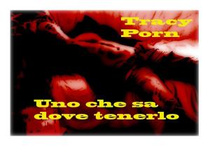 Cover of the book Uno che sa dove tenerlo by Taryn Brooks