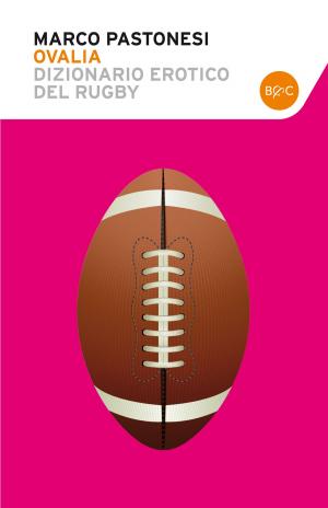 Cover of the book Ovalia Dizionario erotico del rugby by Hermann Melville