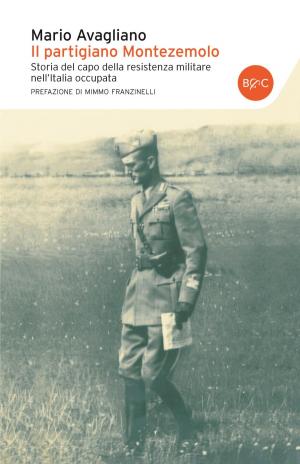 Cover of the book Il partigiano Montezemolo by Giorgio Faletti