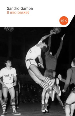 Cover of the book Il mio basket by Angelo Marenzana