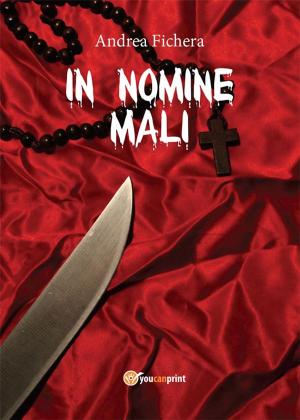 Cover of the book In Nomine Mali by Steven Bigham