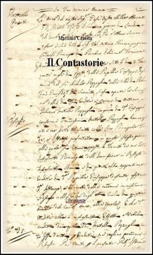 Cover of the book Il contastorie by David Manfredi Troncone