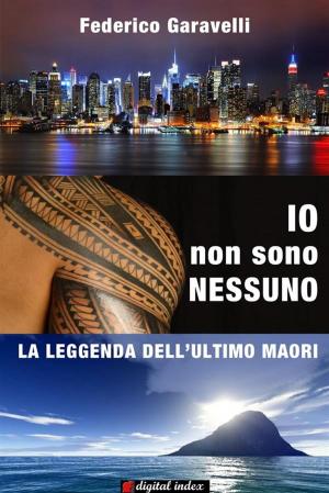 Cover of the book Io non sono nessuno by Federica Lanna, Sarah Bernini