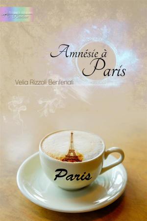 Cover of the book Amnésie à Paris by Enedhil