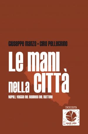 Book cover of Le mani nella città