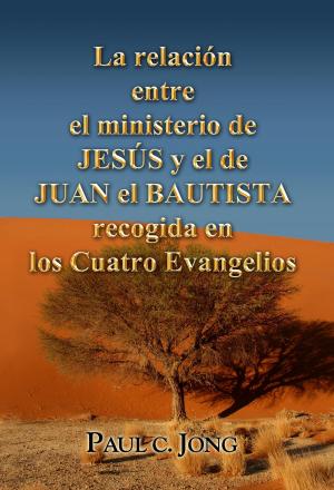 Book cover of La relación entre el ministerio de JESÚS y el de JUAN EL BAUTISTA recogida en los Cuatro Evangelios