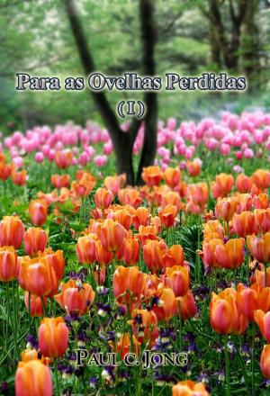 Cover of the book Sermoes no Evangelho de Joao (VI) - Para as Ovelhas Perdidas ( I ) by Paul C. Jong