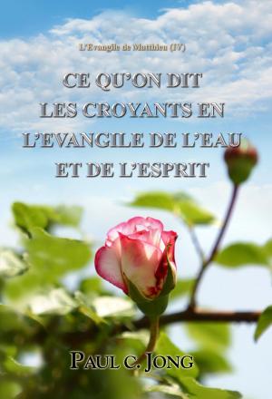 Book cover of L’Evangile de Matthieu (V) - CE QU’ON DIT LES CROYANTS EN L’EVANGILE DE L’EAU ET DE L’ESPRIT