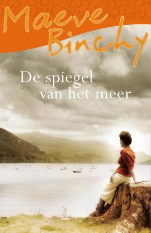 Cover of the book De spiegel van het meer by Trudi Rijks