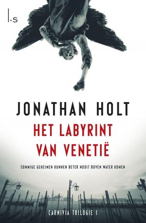 Cover of the book Het labyrint van Venetië by Pieter Feller, Natascha Stenvert