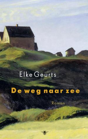 Cover of the book De weg naar zee by Onno Blom