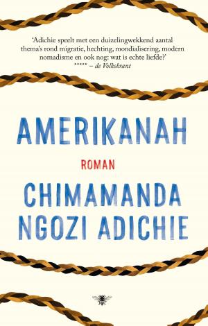Cover of the book Amerikanah by Rachel Joyce