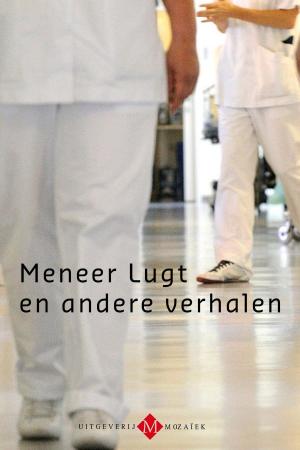 Book cover of Meneer Lugt en andere verhalen