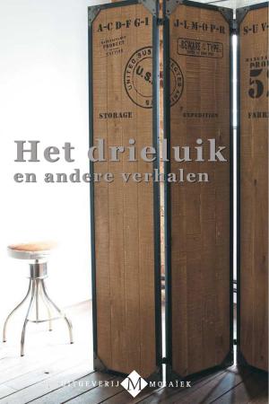Cover of the book Het drieluik en andere verhalen by Aloka Liefrink