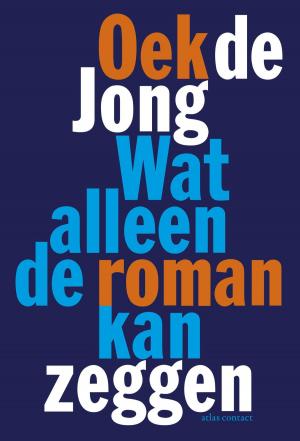 Cover of the book Wat alleen de roman kan zeggen by Vonne van der Meer