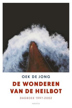 Cover of the book De wonderen van de heilbot by Adriaan van Dis