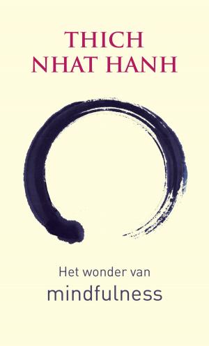 Cover of the book Het wonder van mindfulness by Jan W. Klijn