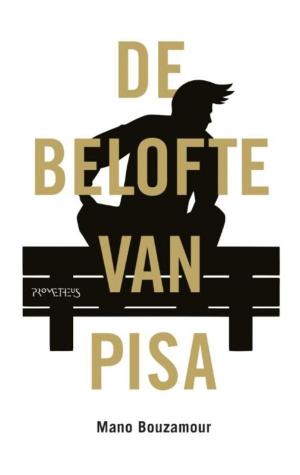 Cover of the book De belofte van Pisa by Peter Vandermeersch