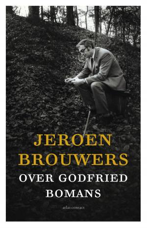 Cover of the book Over Godfried Bomans by Noah Strycker