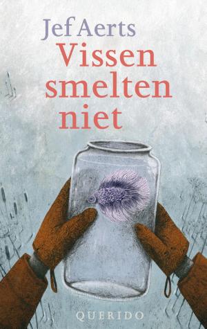 Cover of the book Vissen smelten niet by Hans Dijkhuis