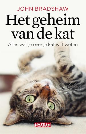 Book cover of Het geheim van de kat
