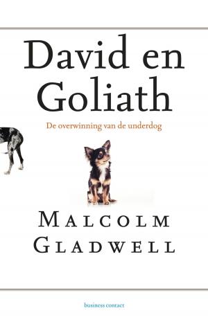 Cover of the book David en Goliath by Pieter Steinz, Bertram Mourits