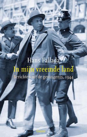 Cover of the book In mijn vreemde land by David Grossman