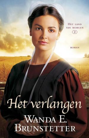 Cover of the book Het verlangen by Clemens Wisse