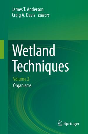 Cover of the book Wetland Techniques by Max Wolfsberg, Luís Paulo N. Rebelo, Piotr Paneth, W. Alexander Van Hook