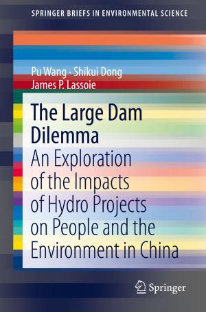 Cover of the book The Large Dam Dilemma by O. Lagerspetz