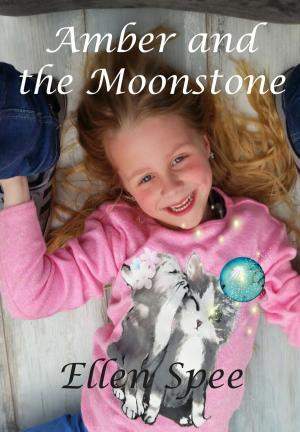 Cover of the book Amber and the Moonstone by Jess Jordan