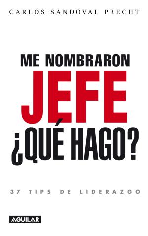 Cover of the book Me nombraron jefe: ¿Qué hago? 37 tips de liderazgo by Roberto Ampuero