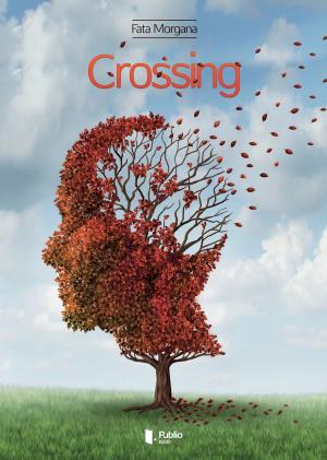 Cover of the book Crossing by Gerda Green