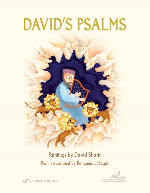 Cover of the book David's Psalms by Rabbi Dr. Israel Drazin