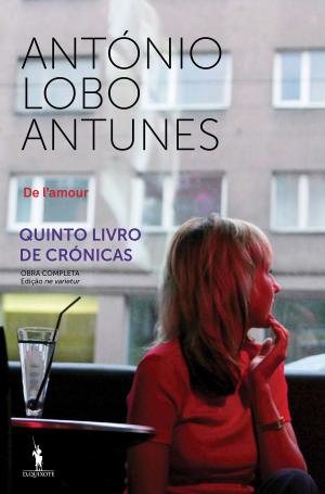 Cover of the book De lamour by Maria Teresa Horta
