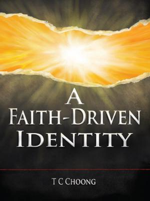 Cover of the book A Faith-Driven Identity by Daniel Tong