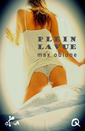 Cover of the book Plein la vue by Eva Scardapelle