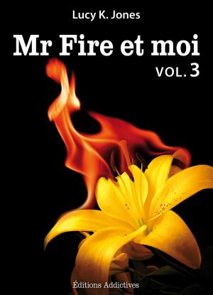 Cover of the book Mr Fire et moi - volume 3 by Emma Green